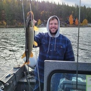 Meet your Posher, James